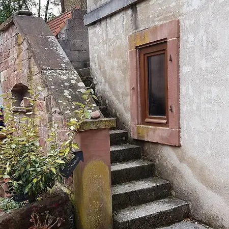 Gite Au Petit Ruisseau-Etage Et Combles-Maison Alsacienne 4 Personnes 4 Nuitees Minimum Langensoultzbach Exterior foto