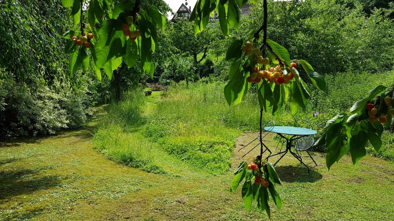 Au Petit Ruisseau-etage Et Combles-maison Alsacienne 4 Personnes 4 Nuitees Minimum Ferienhaus *