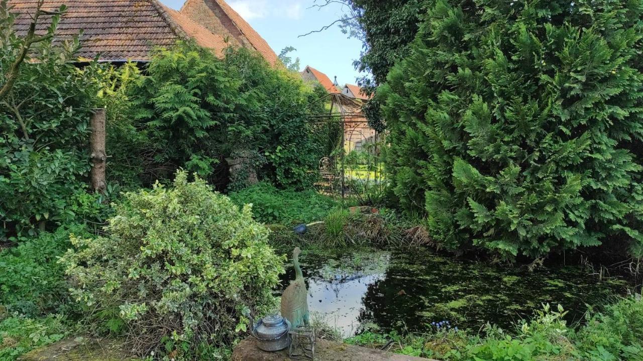 Au Petit Ruisseau-etage Et Combles-maison Alsacienne 4 Personnes 4 Nuitees Minimum * Langensoultzbach